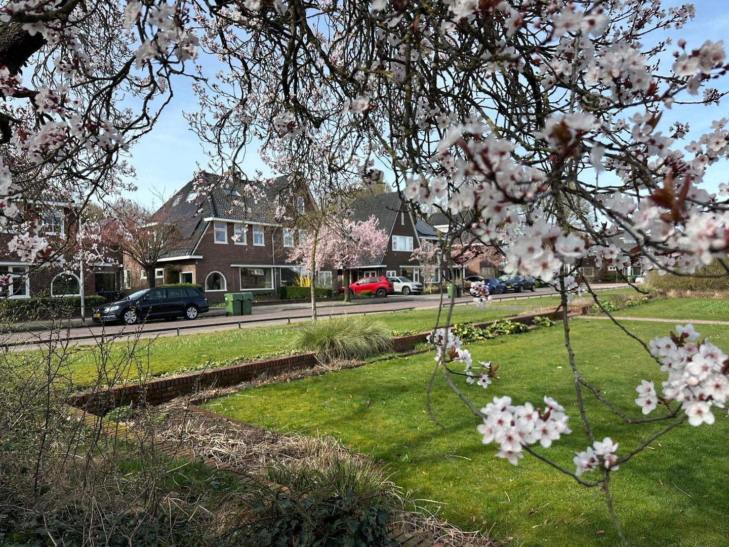 Foto 70 van Prinses Beatrixplantsoen 14