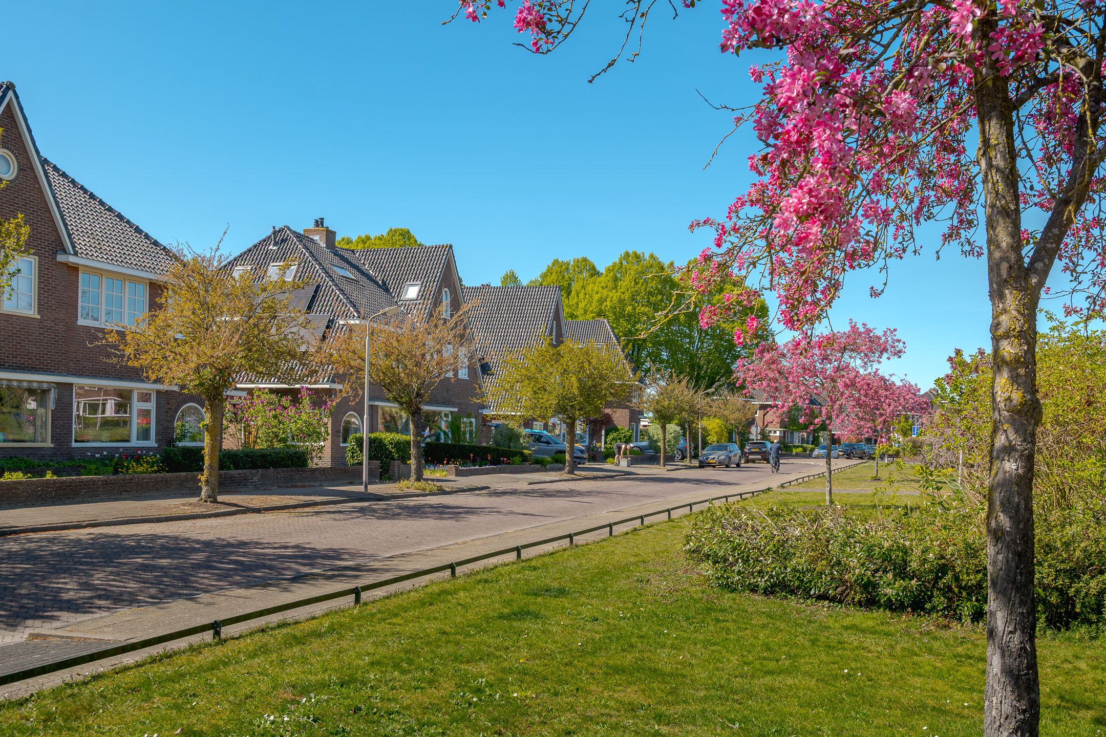 Foto 72 van Prinses Beatrixplantsoen 14