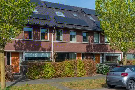 undefined main image