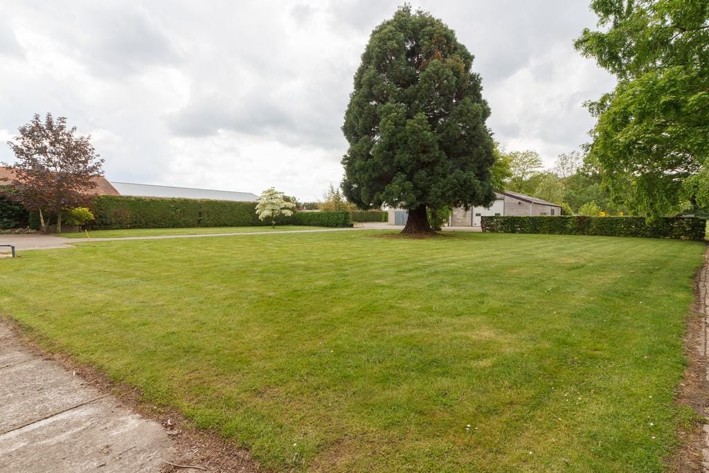 Foto 48 van Hoogstraat 58