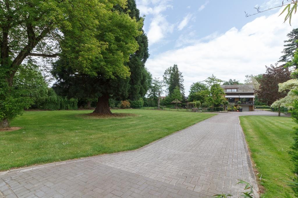 Foto 50 van Hoogstraat 58