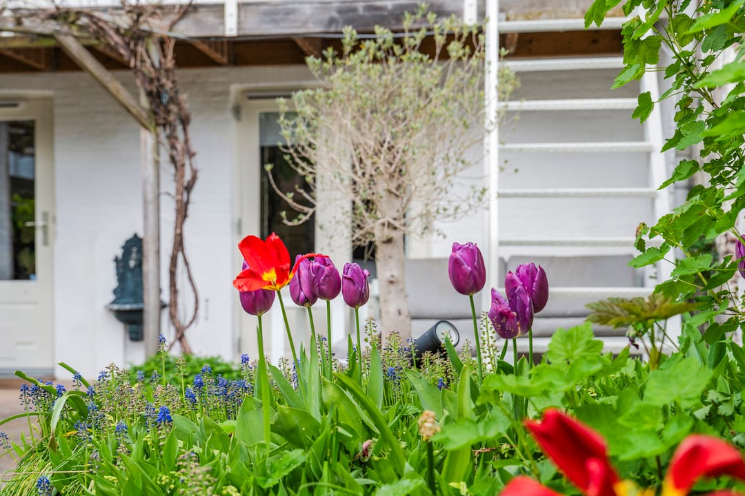 Foto 47 van Staringstraat 73