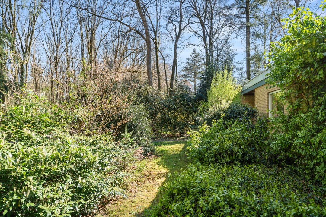 Foto 8 van Dunantlaan 4