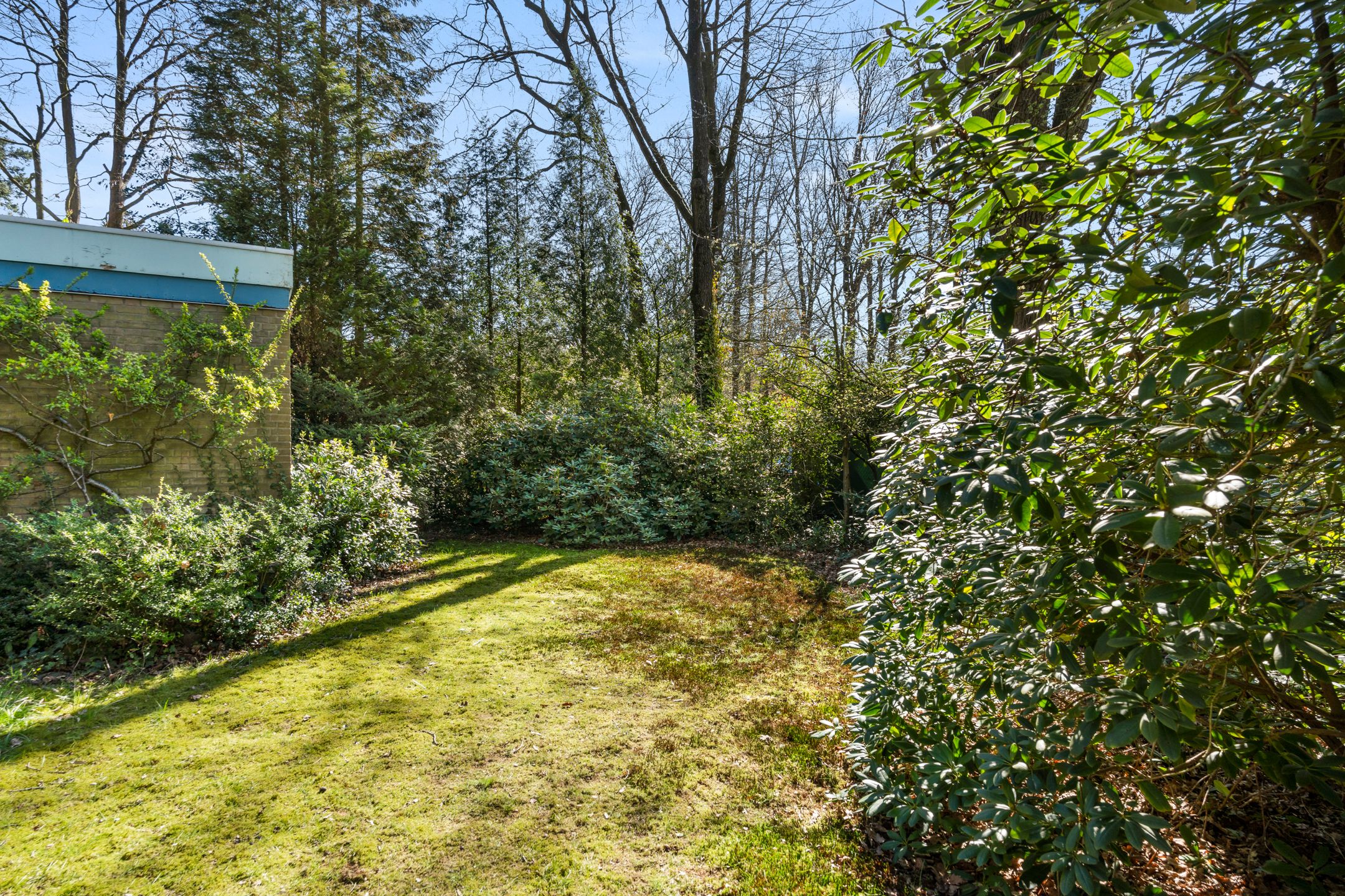 Foto 15 van Dunantlaan 4