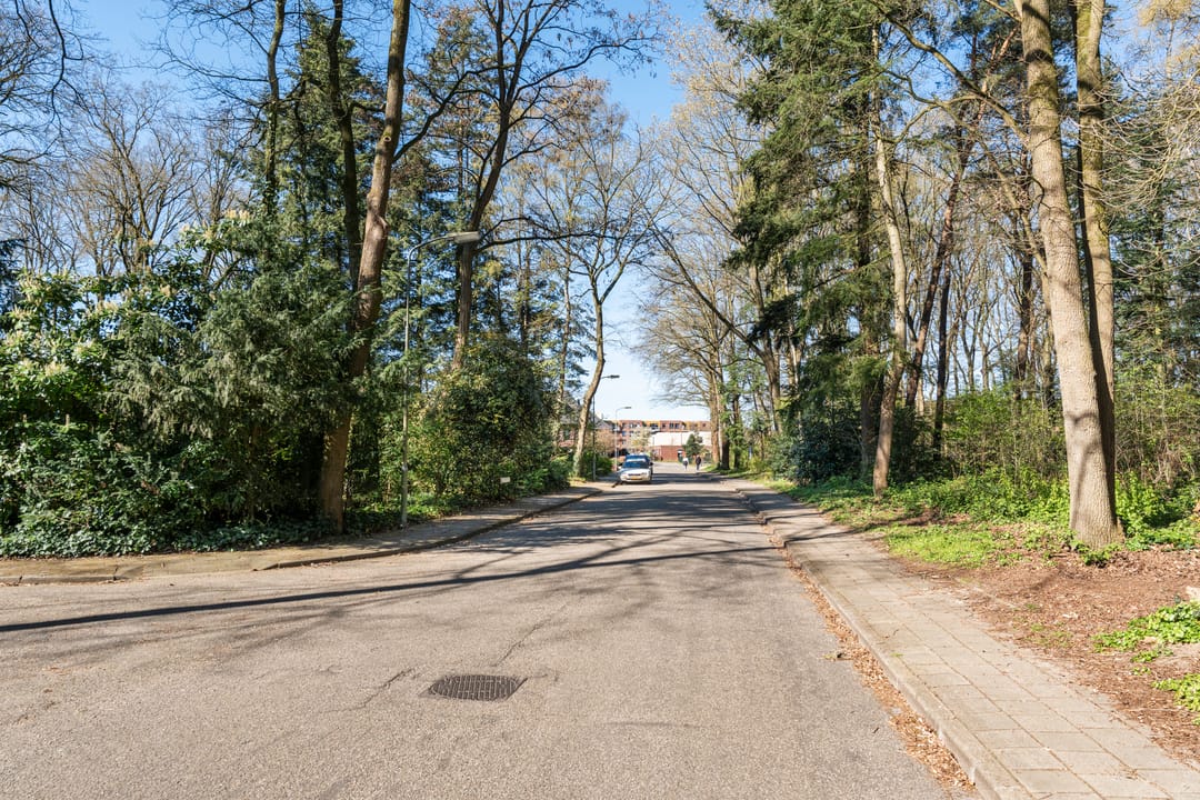 Foto 43 van Dunantlaan 4