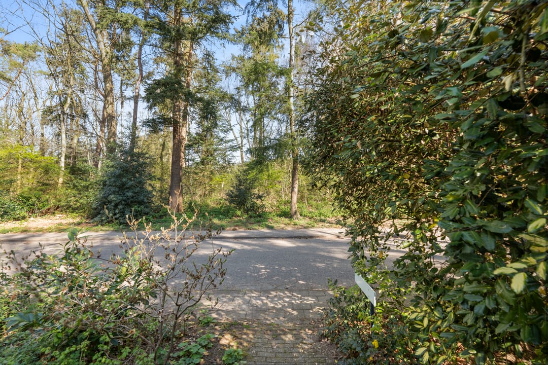 Foto 41 van Dunantlaan 4