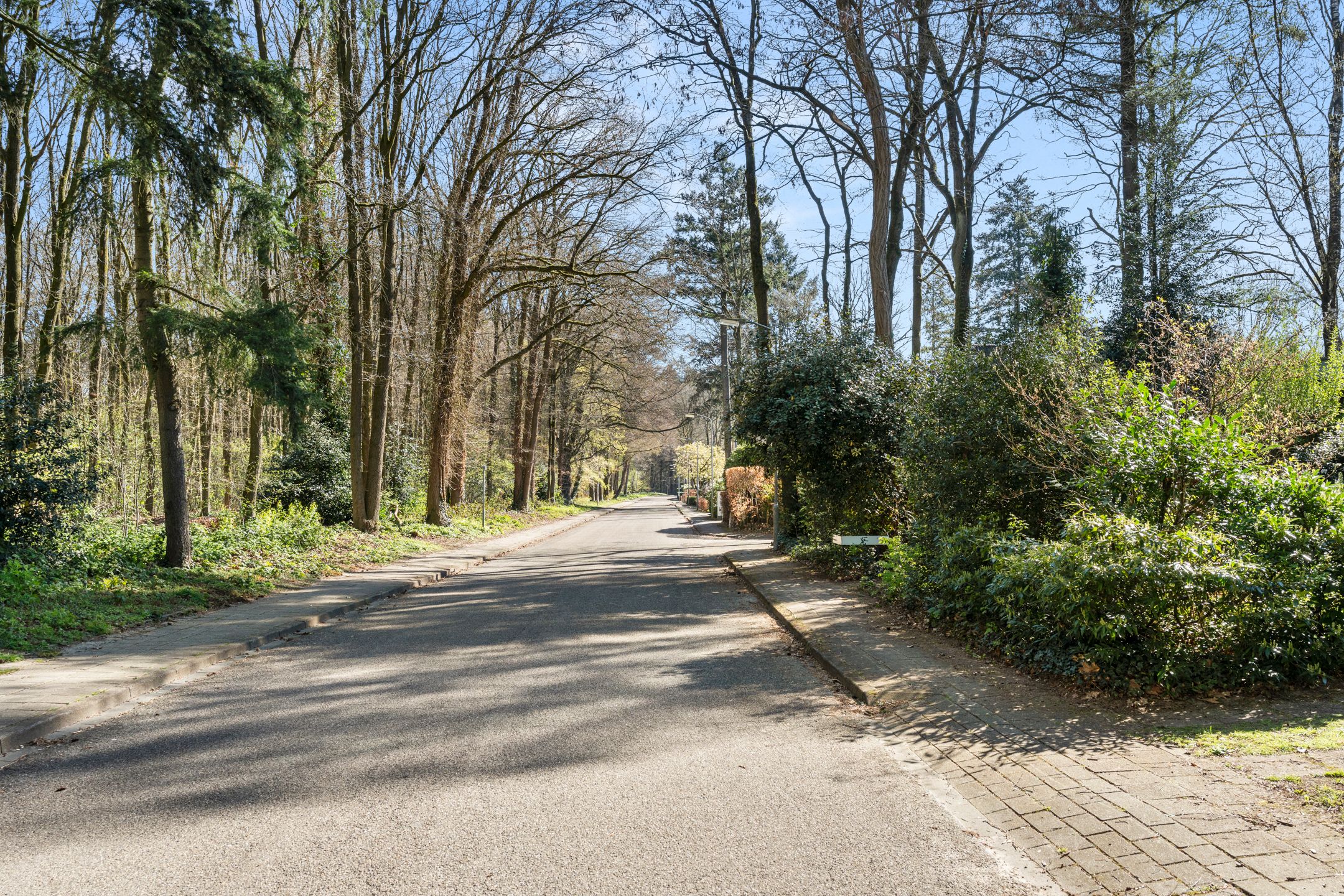 Foto 42 van Dunantlaan 4