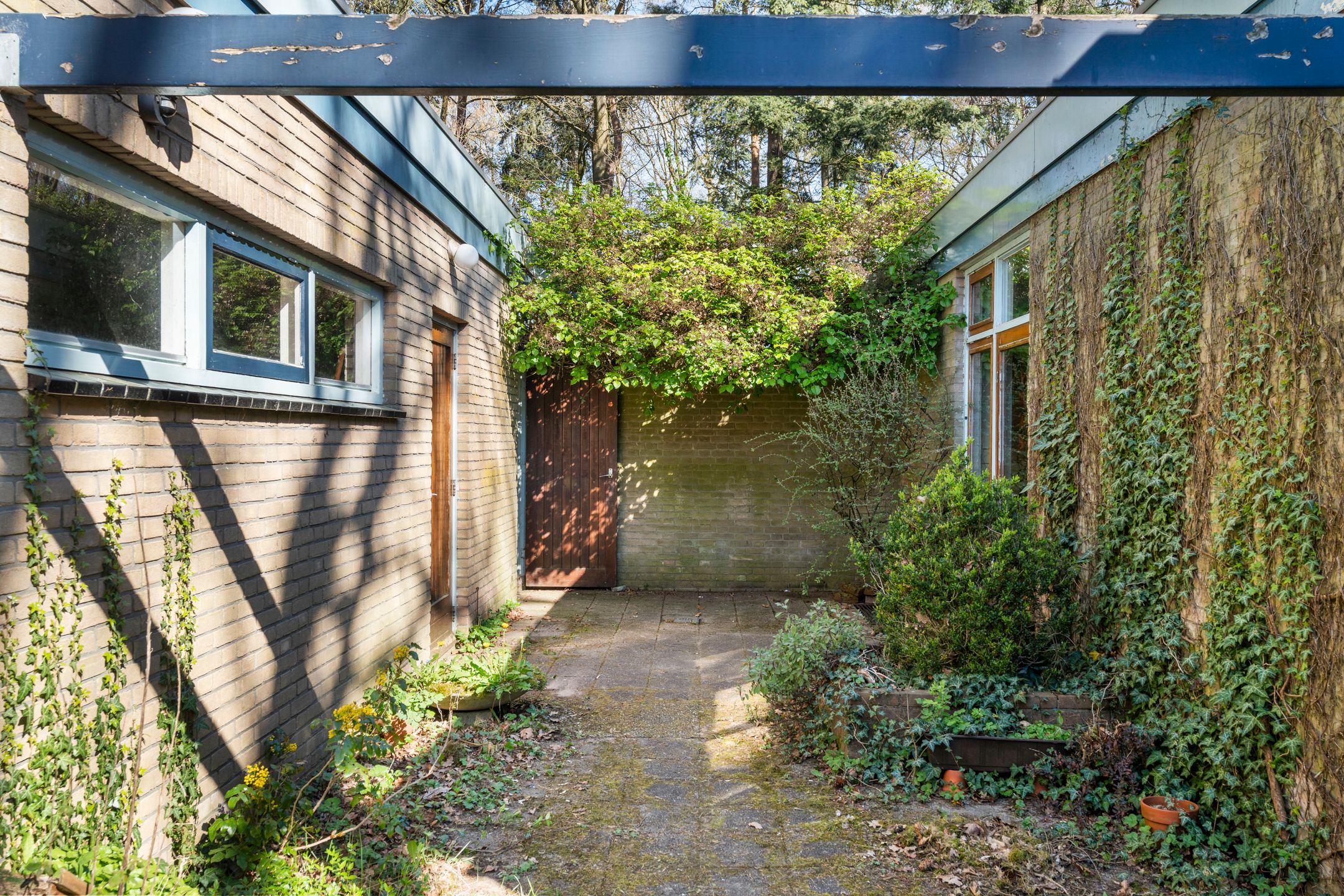 Foto 12 van Dunantlaan 4