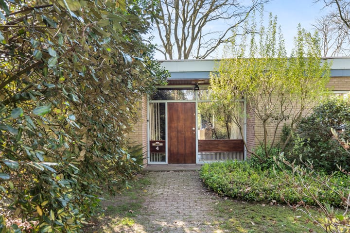 Foto 2 van Dunantlaan 4