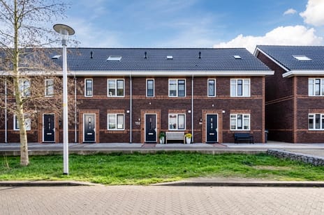 Ridderzwam 152 secondary image