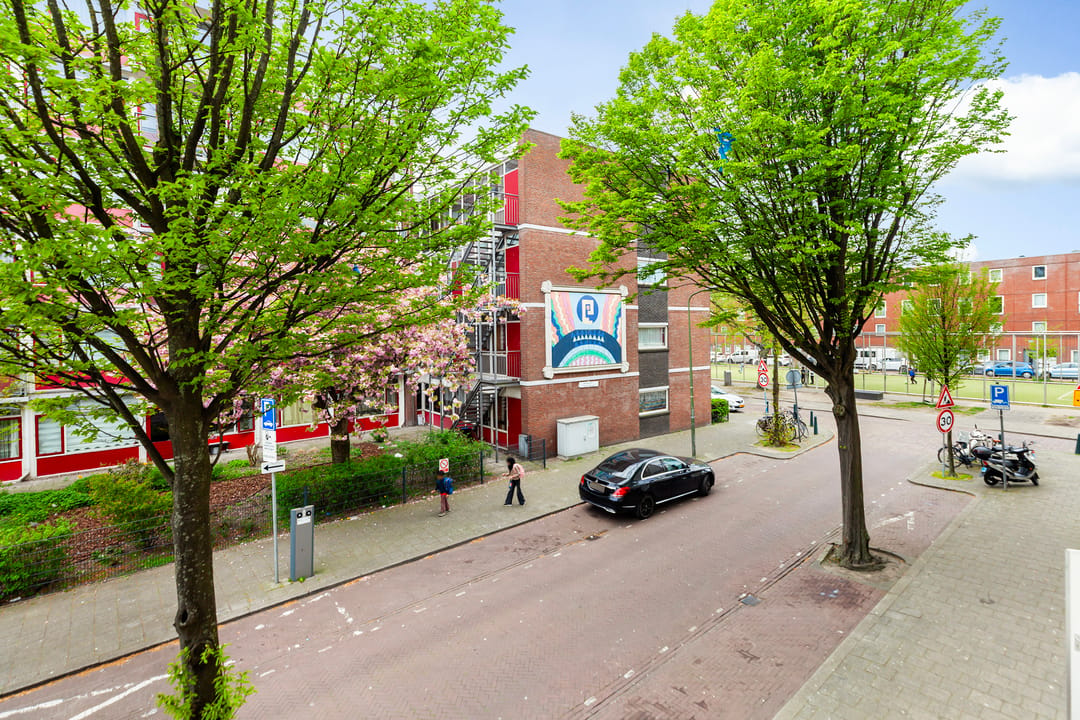 Spacious 4-Room Ground-Floor Apartment in Popular Schildersbuurt — 32