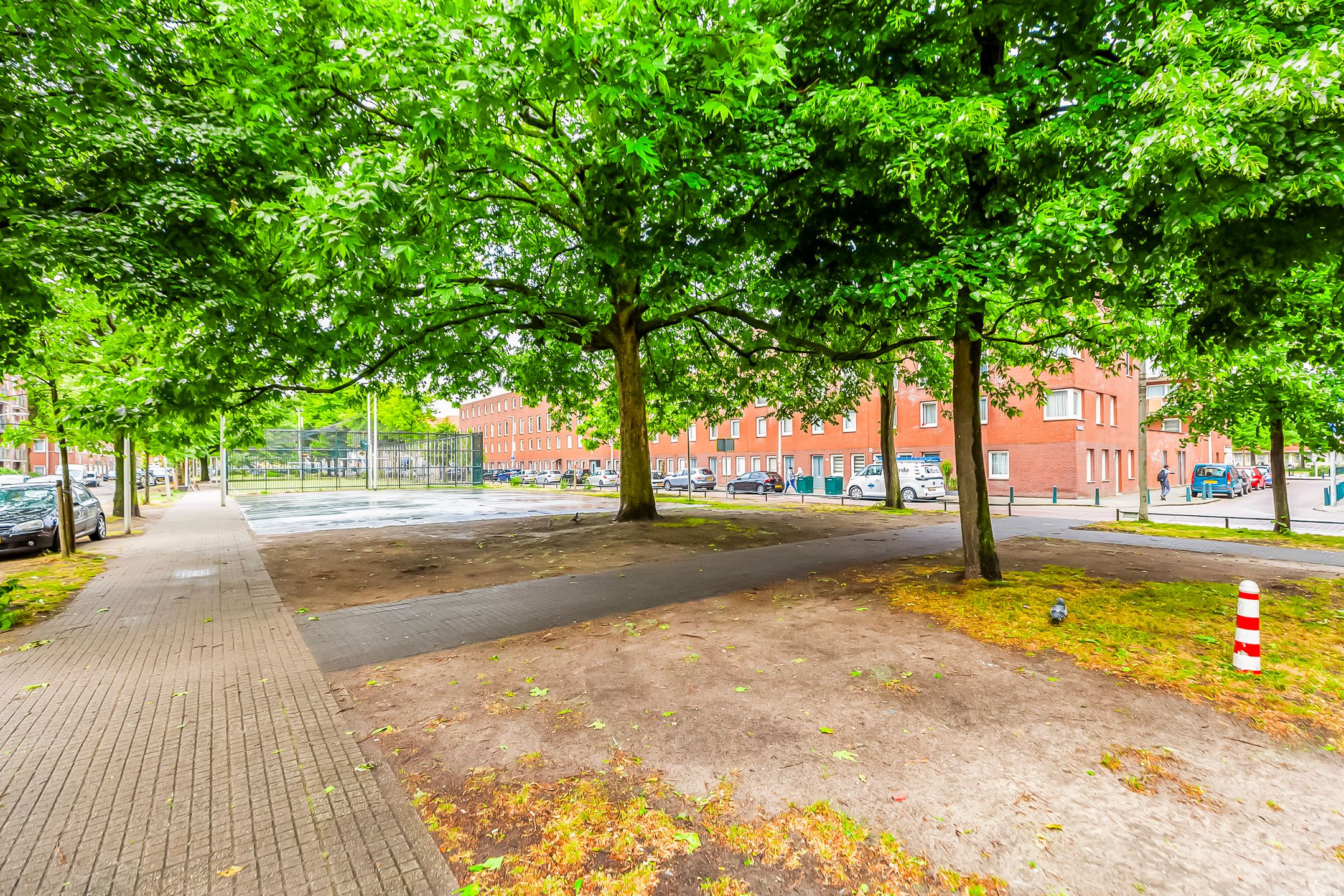 Spacious 4-Room Ground-Floor Apartment in Popular Schildersbuurt — 33
