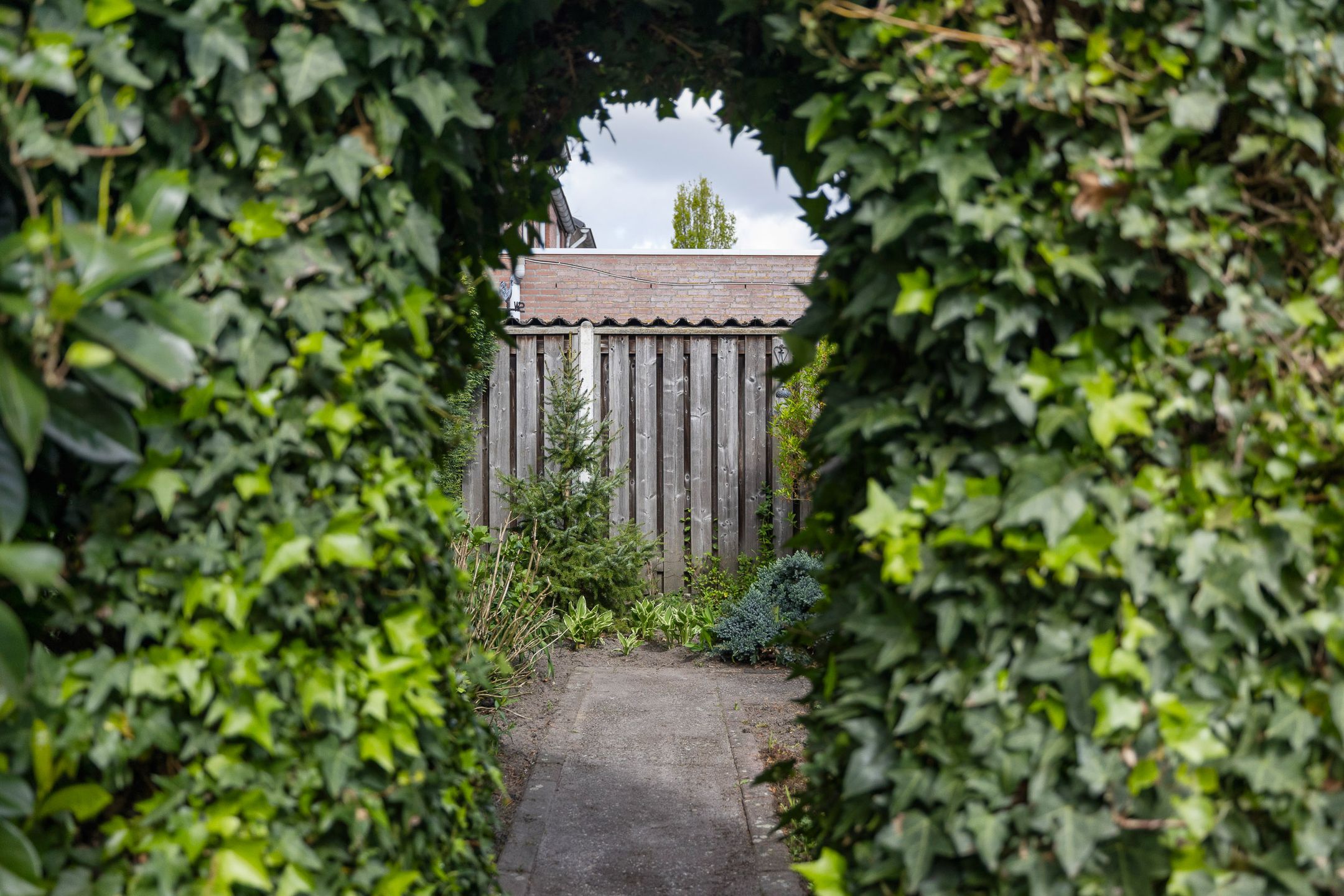 Photo 36 of Past. Esserstraat 11