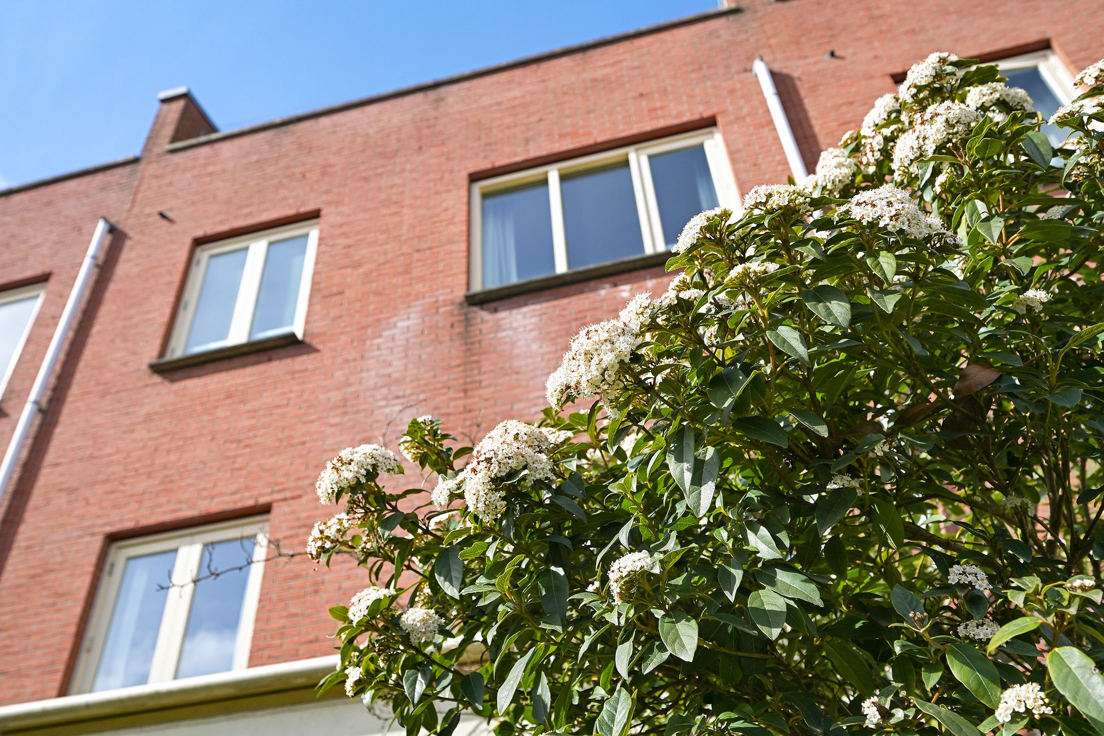 Foto 21 van Van Hoornbeekstraat 8-C