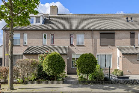 undefined main image