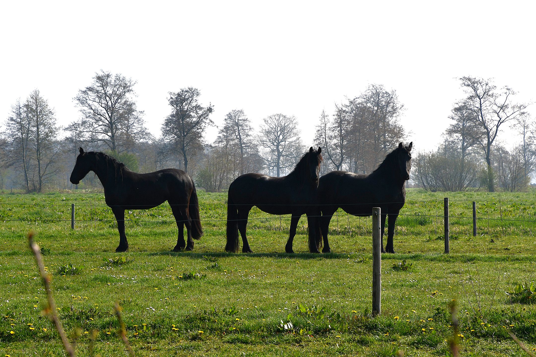 Foto 54 van Roordaweg 1-A