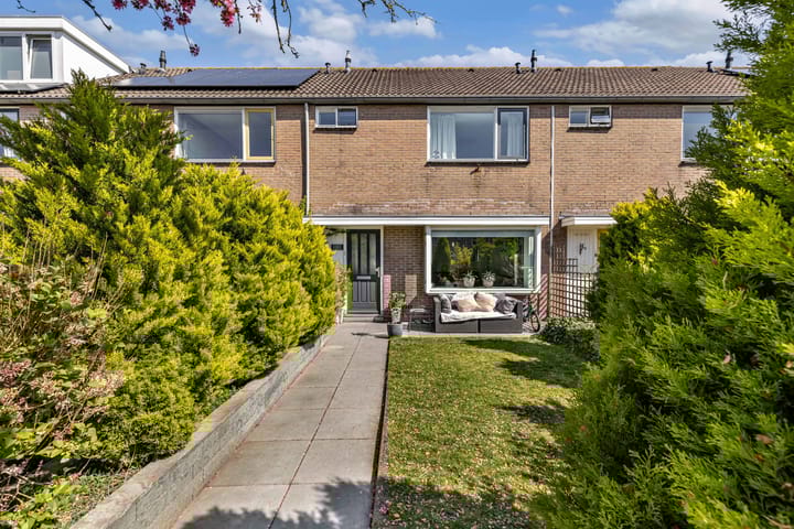 Windvang 11 main image