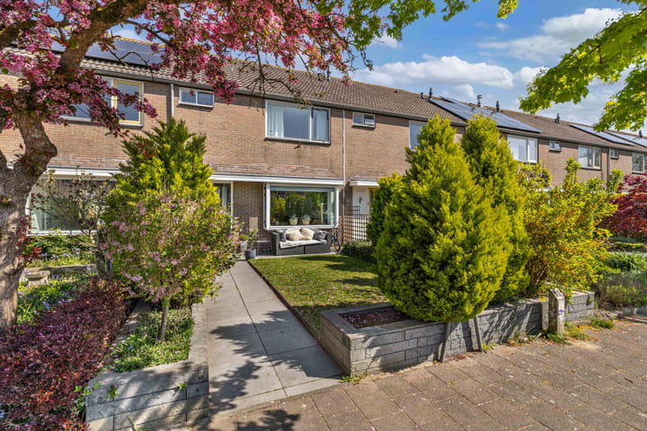 Foto 4 van Windvang 11