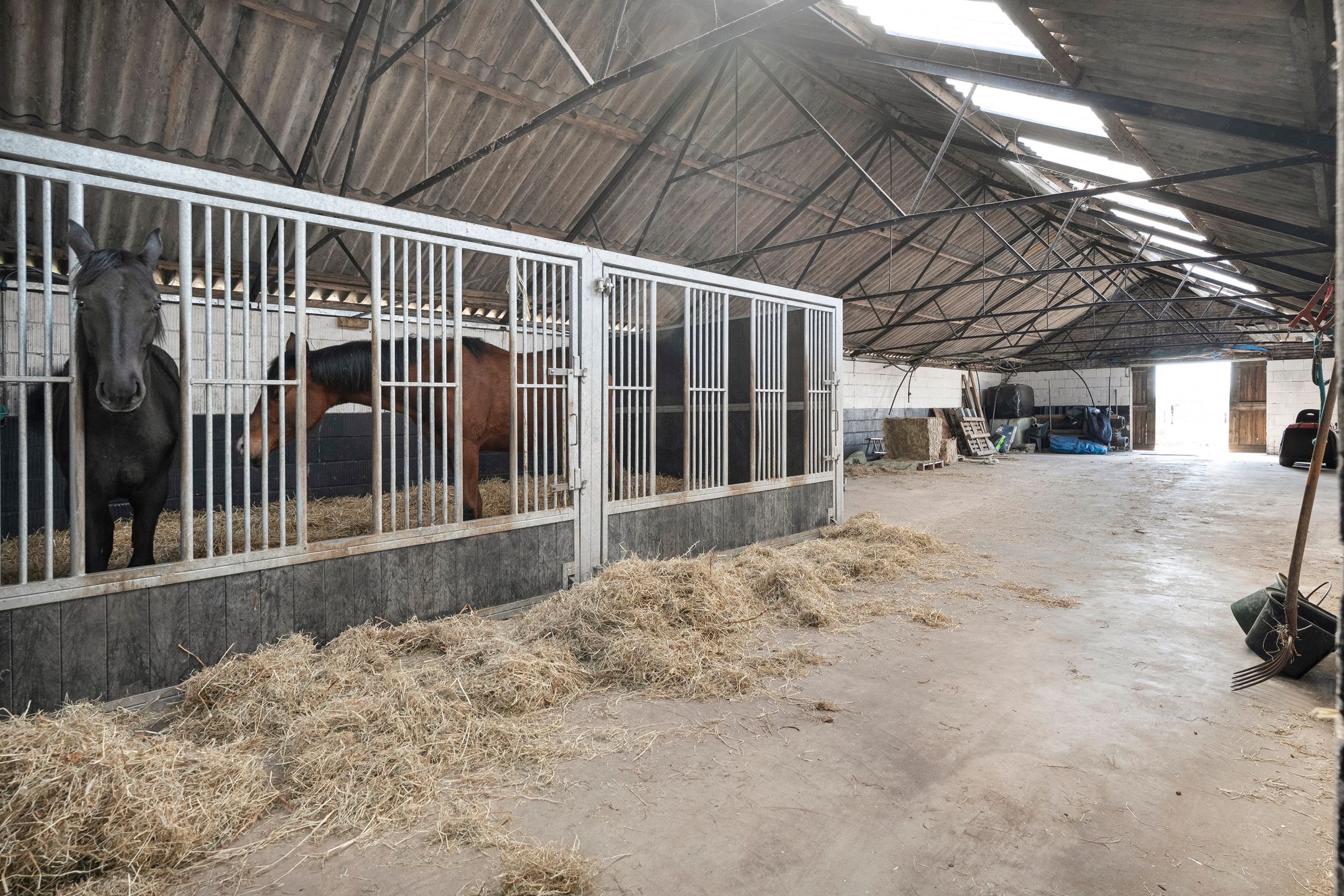 Foto 72 van Het Bergje 2