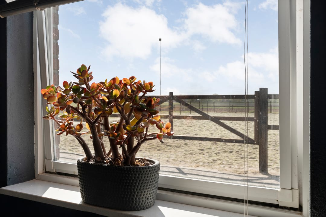 Foto 68 van Het Bergje 2