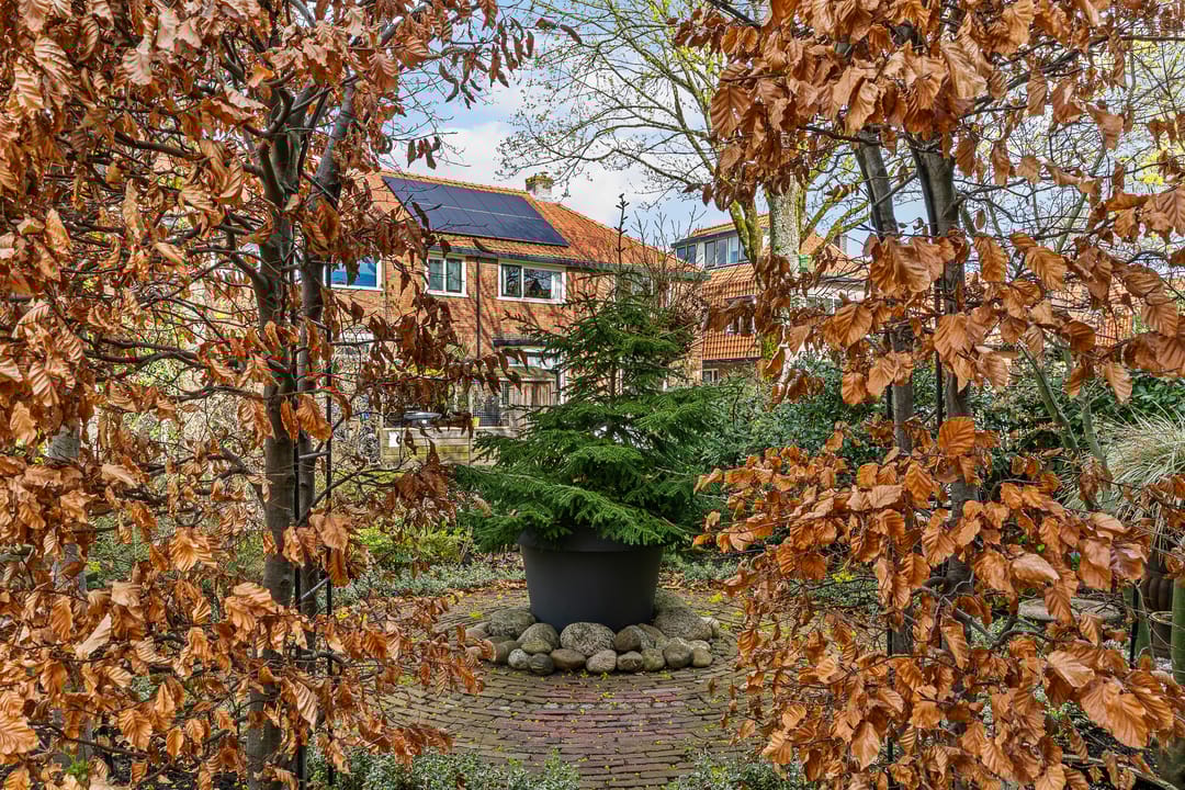 Foto 43 van Coehoornstraat 30