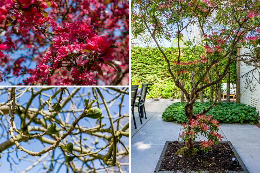 Photo 67 of St. Victorlaan 7