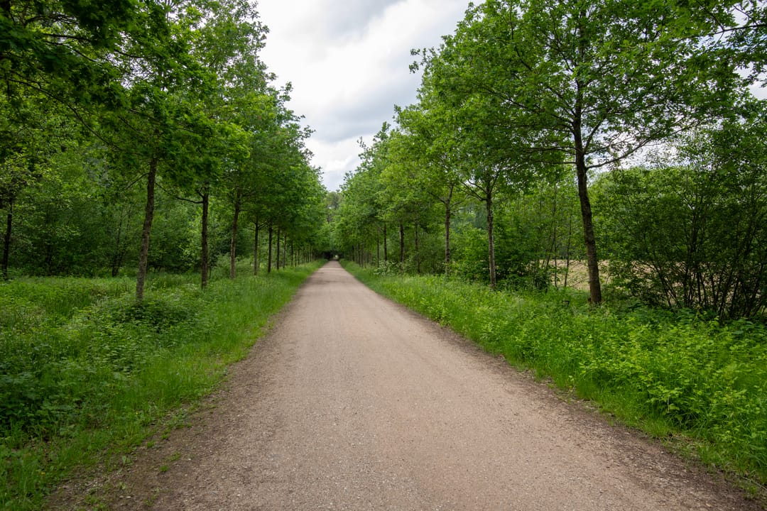 Foto 86 van Heerenbeek 1