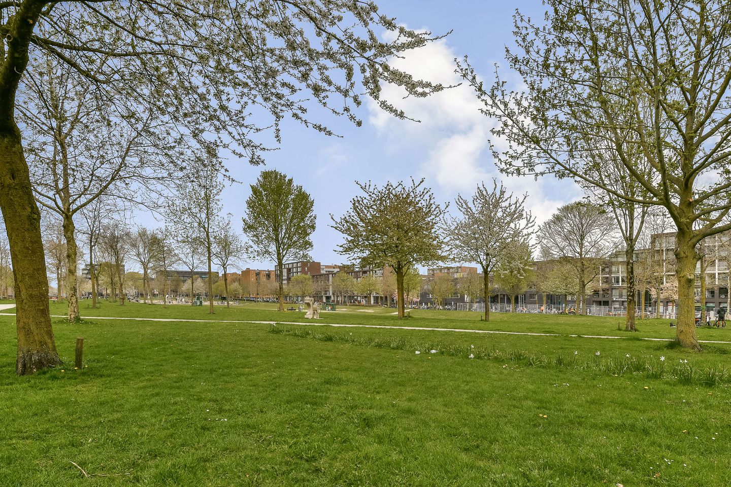 Foto 25 van Emmy Andriessestraat 337