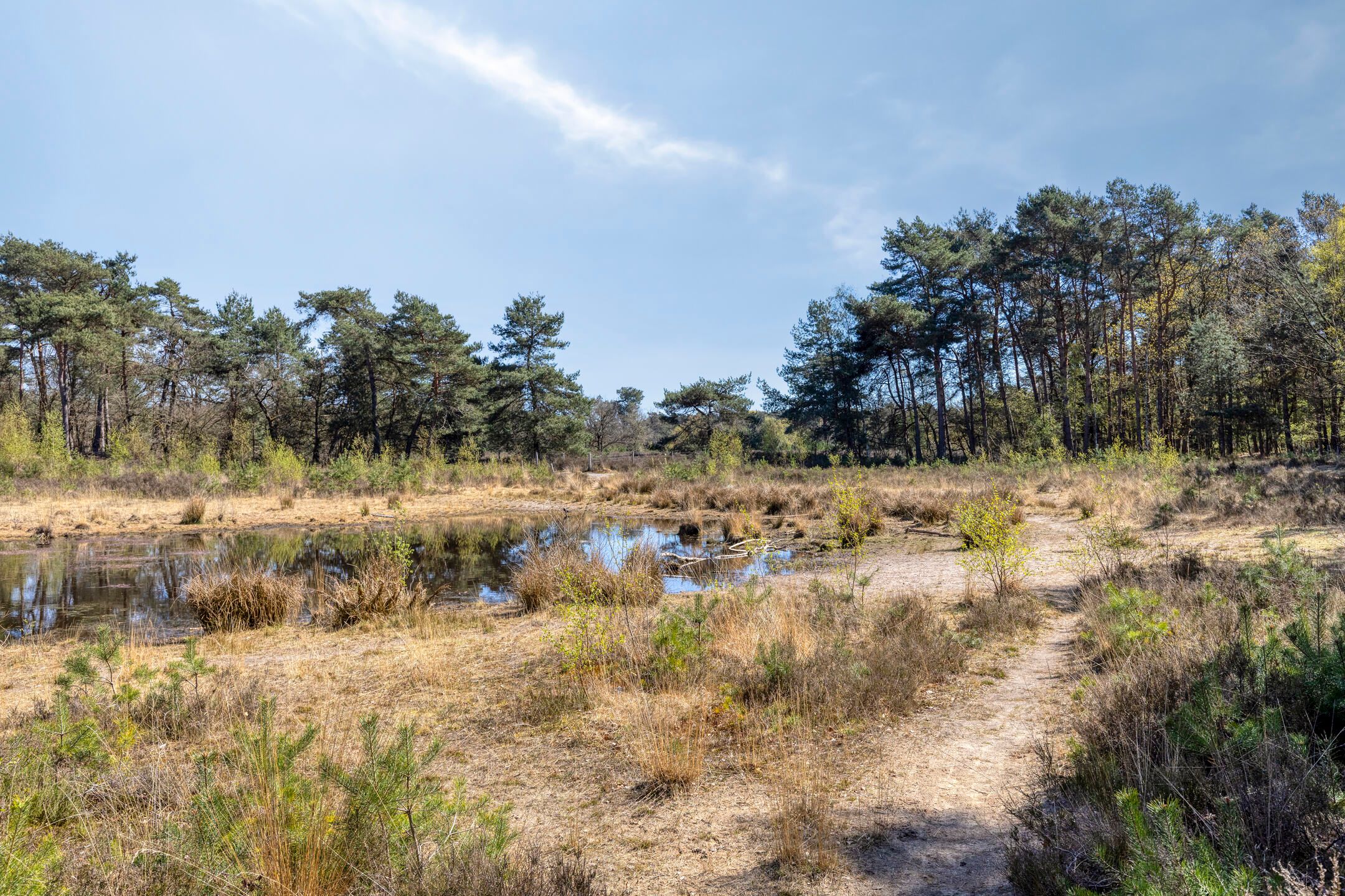 Foto 39 van Vogelpoelstraat 9