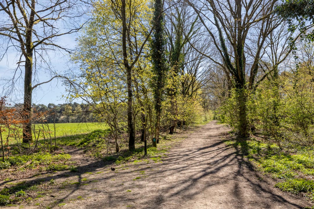 Foto 38 van Vogelpoelstraat 9