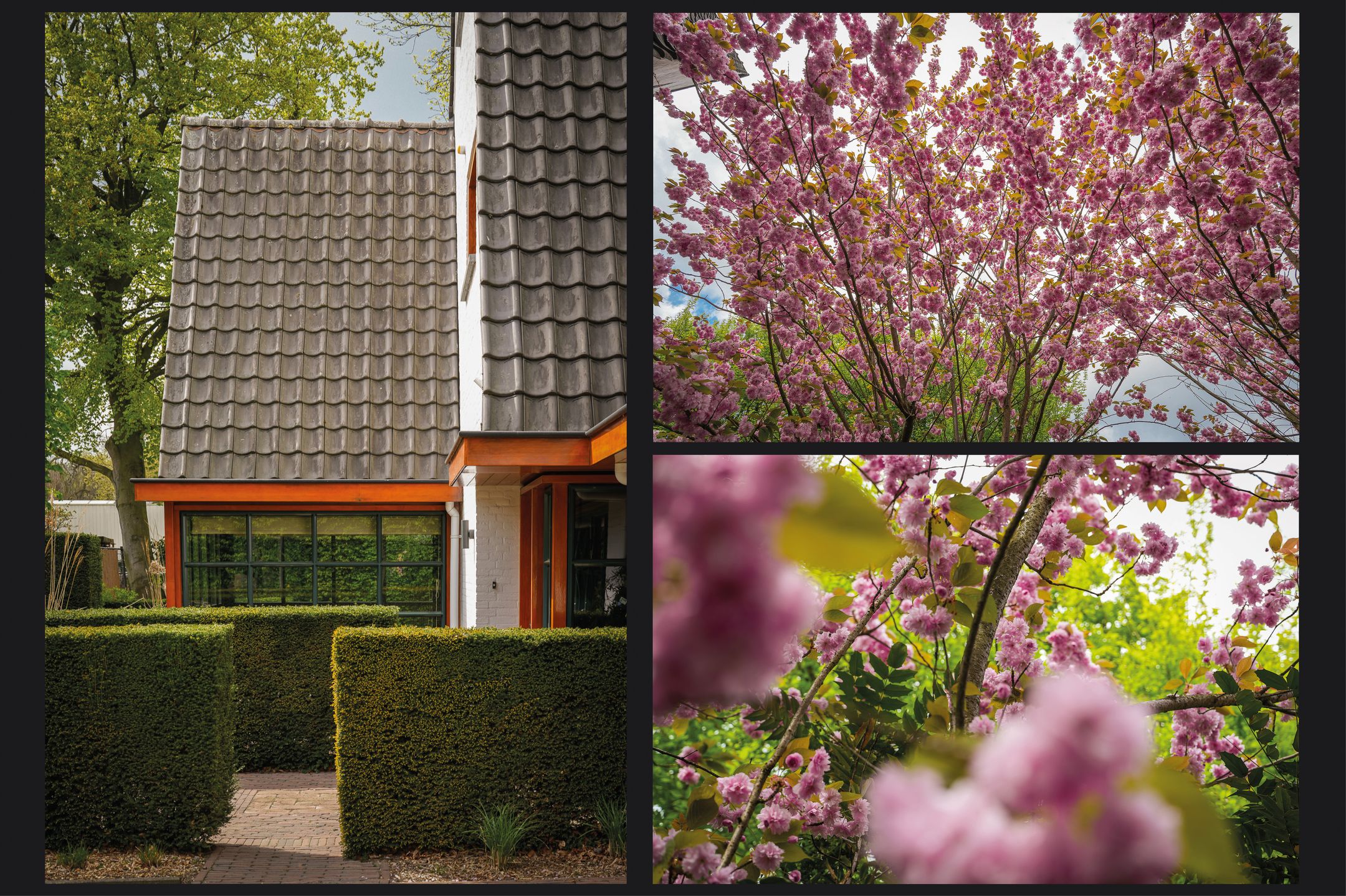 Foto 42 van Meliepark 18