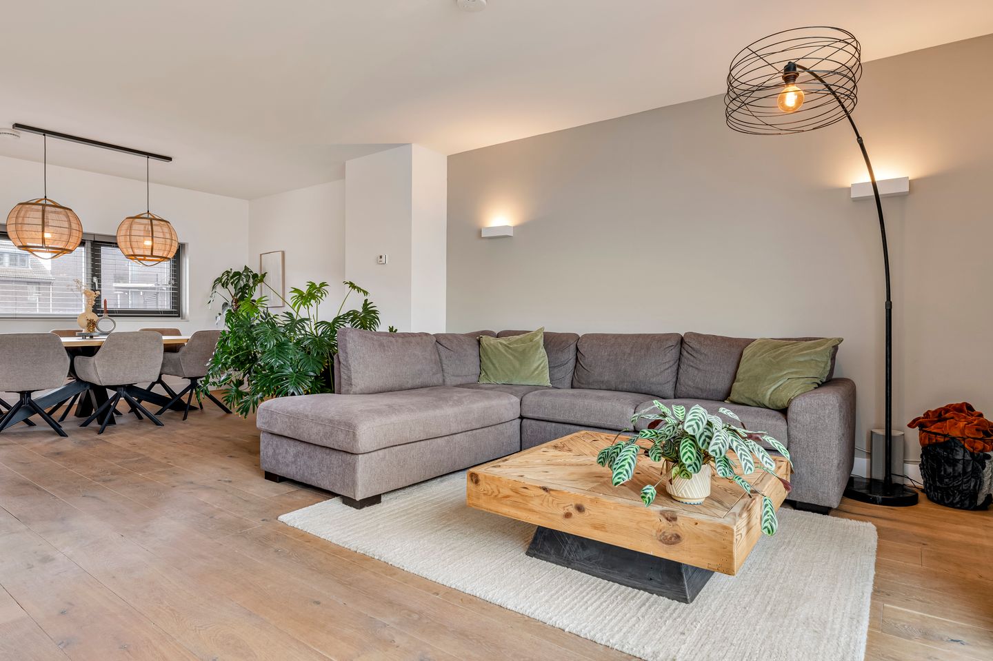 Foto 19 van Aquasingel 13