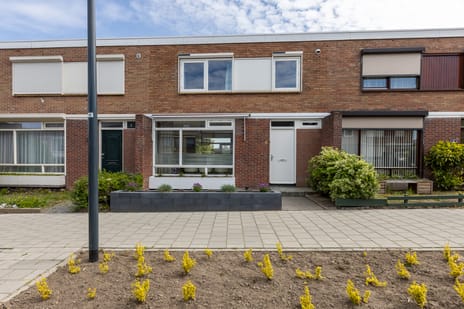 Kastanjelaan thumbnail