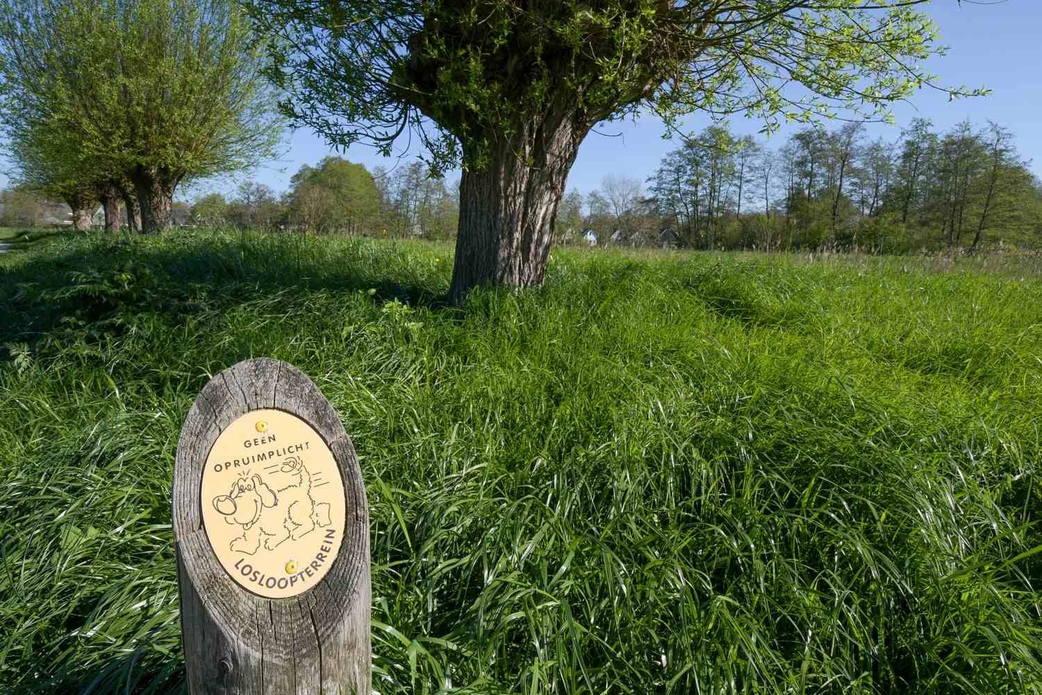 Foto 33 van Hooizolder 146