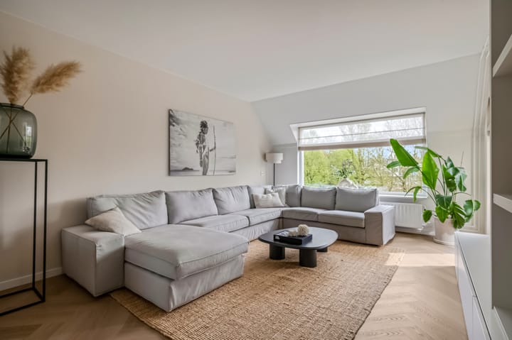 Foto 4 van Trommelaar 21