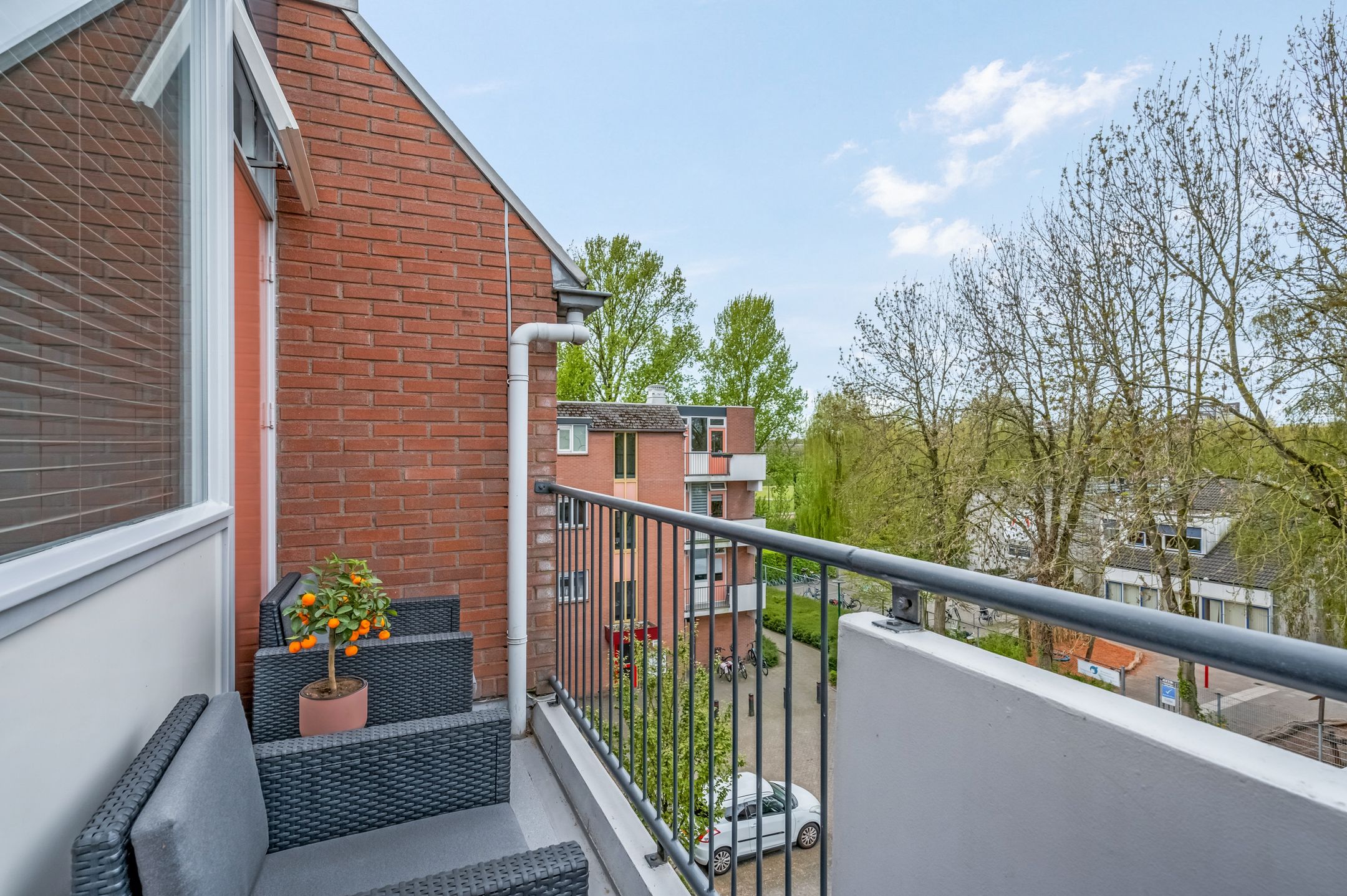 Foto 18 van Trommelaar 21