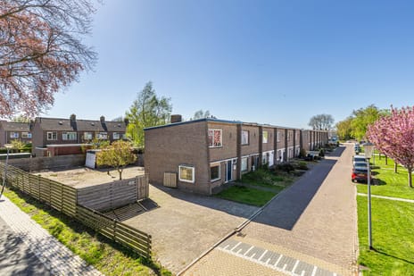 Dr. Bosstraat thumbnail