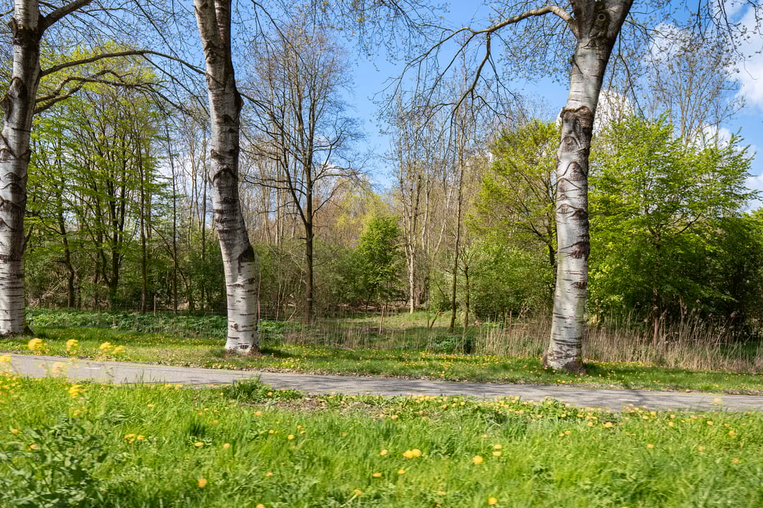 Foto 58 van Matkoplaan 7