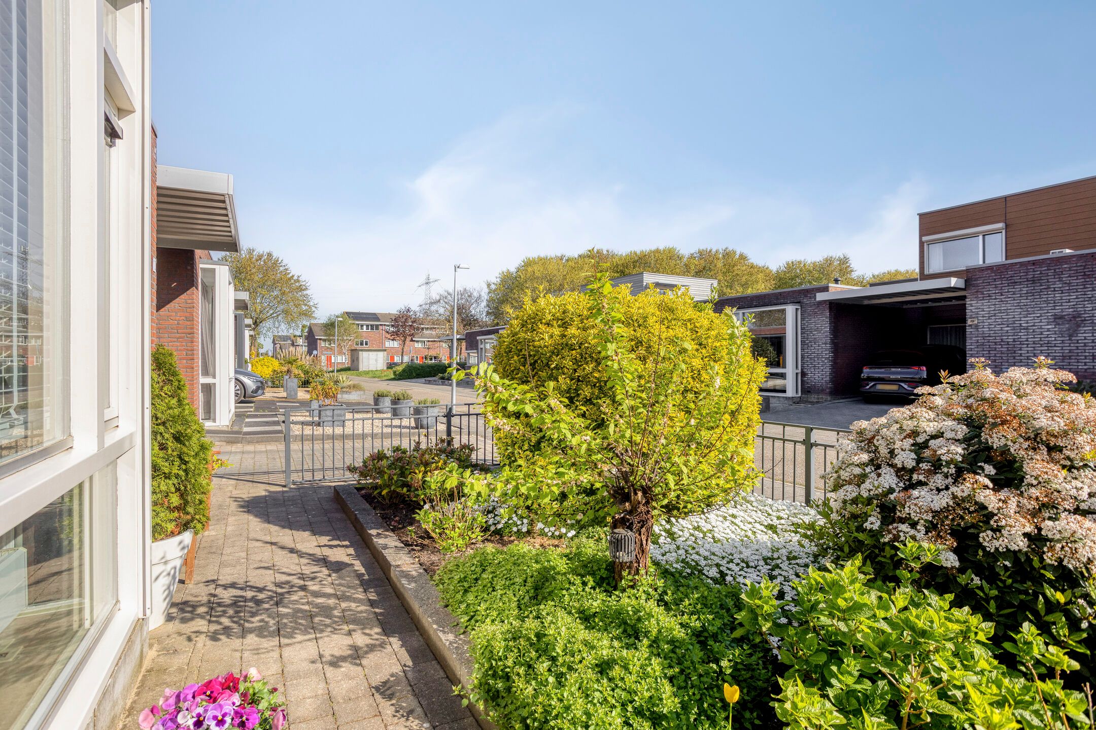 Foto 42 van Malevitsjpad 10