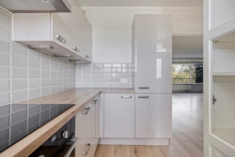 Pharus 73 tertiary image