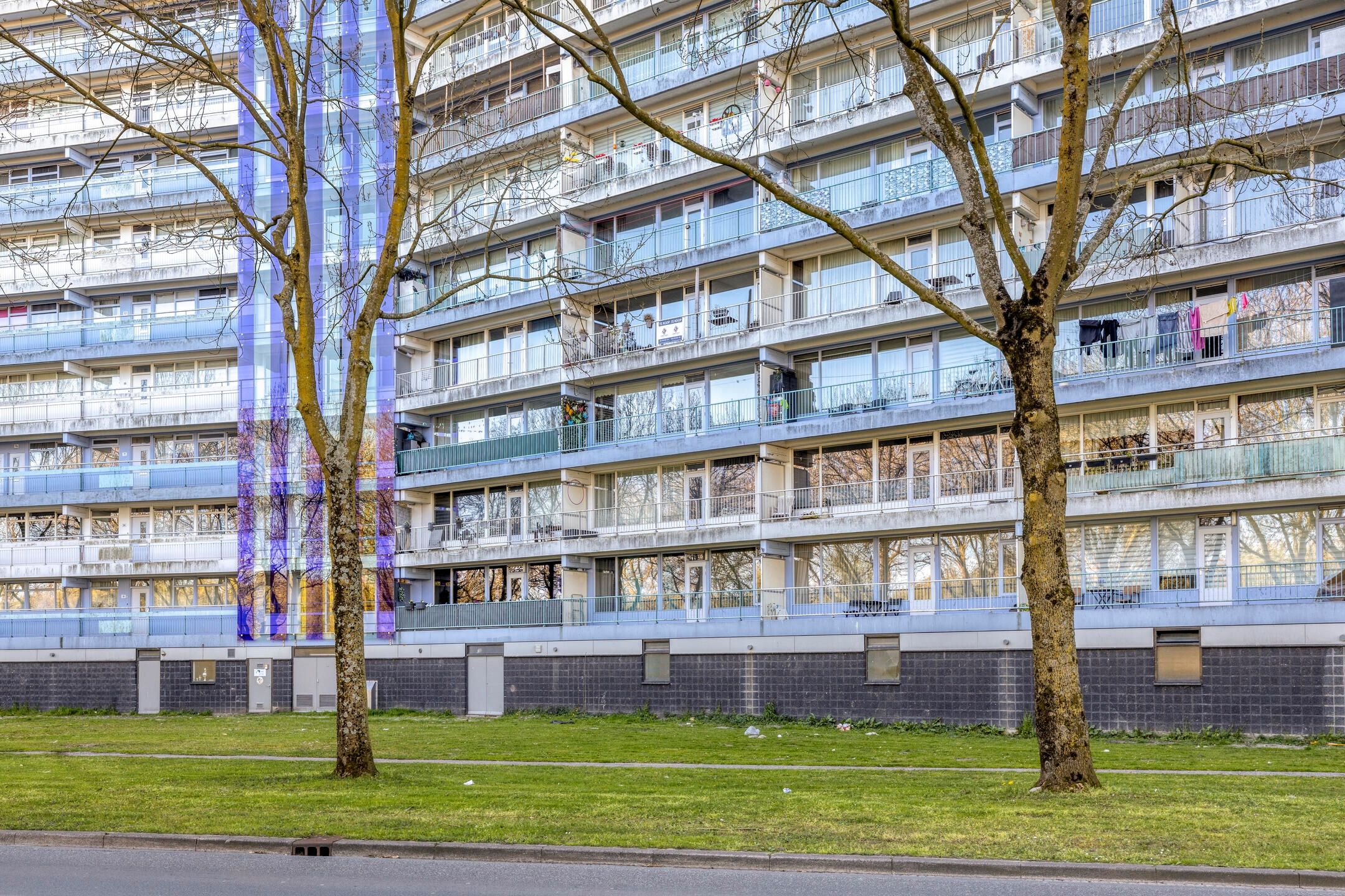 Foto 39 van Pharus 73