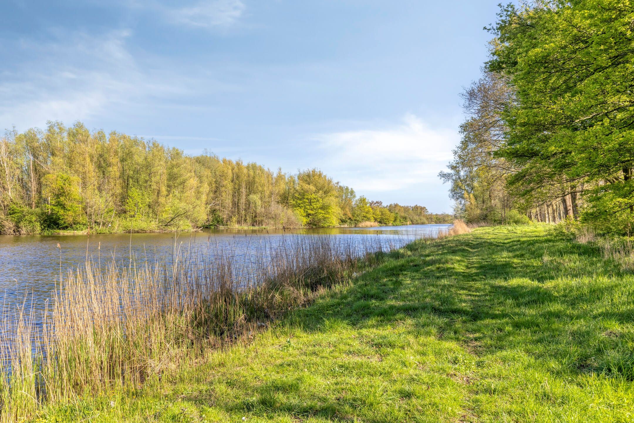 Foto 42 van Pharus 73