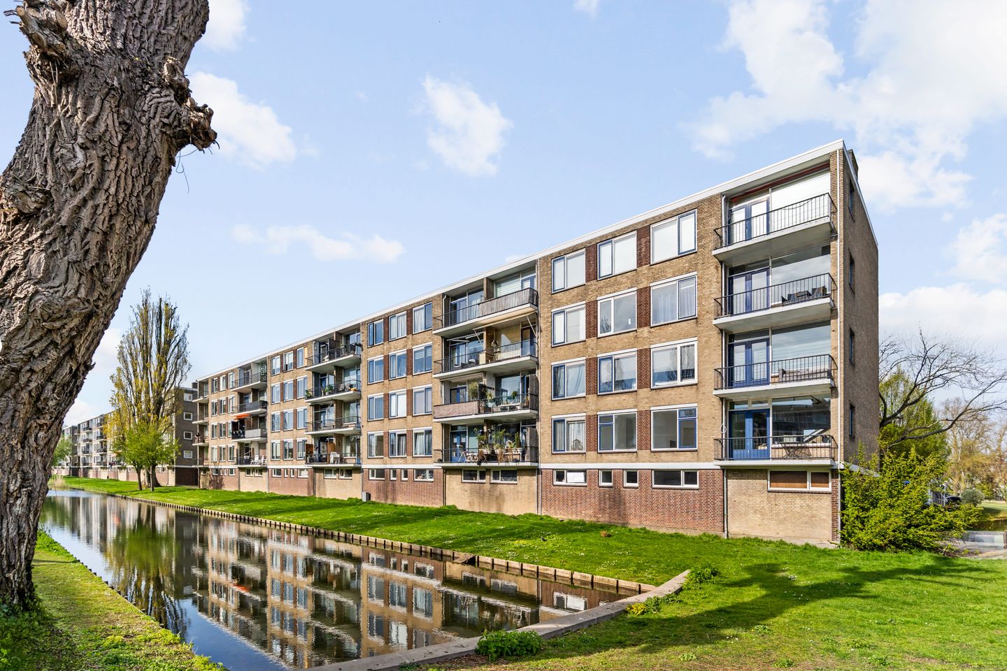 Foto 34 van Dahliastraat 6