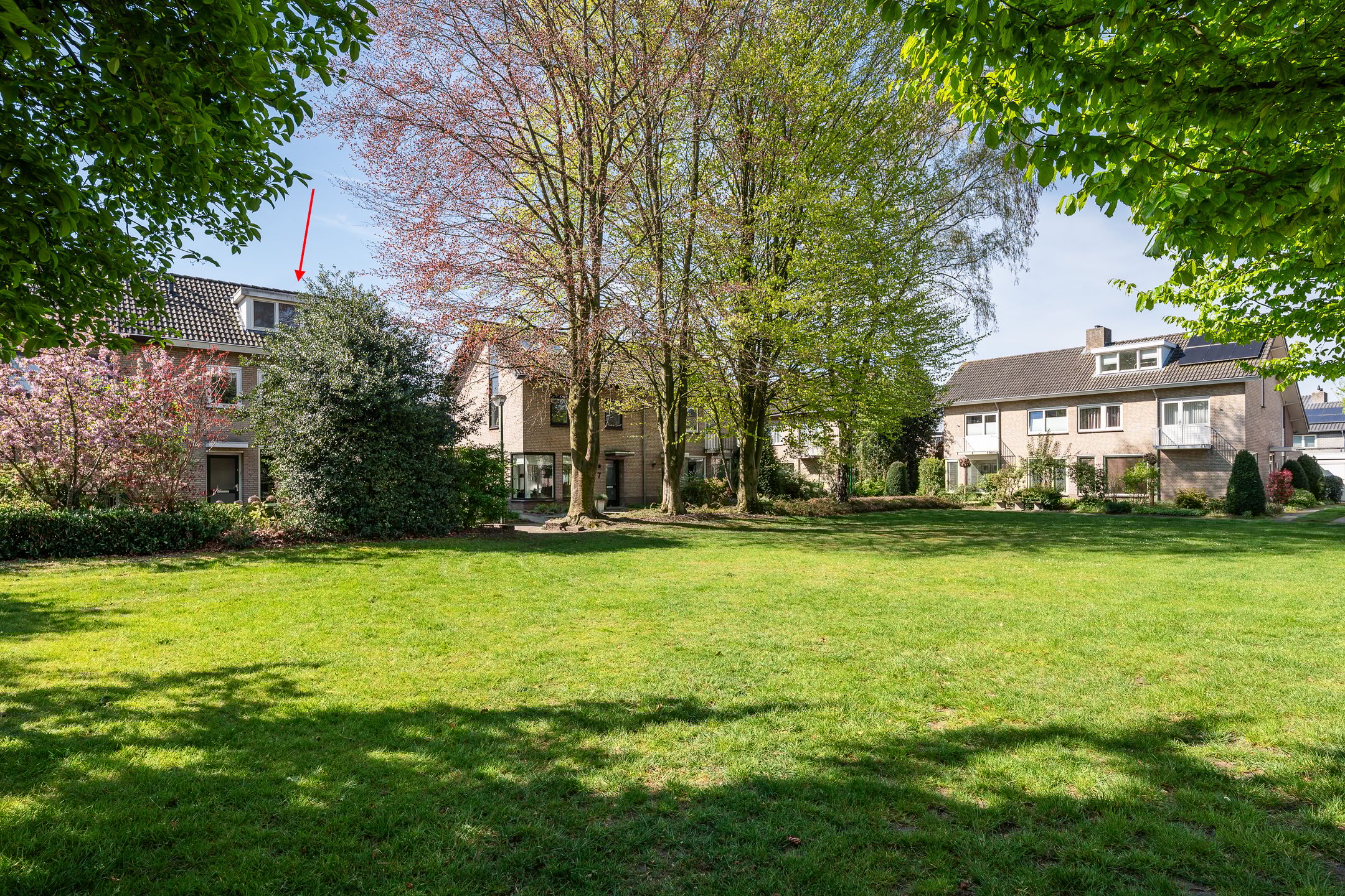 Foto 45 van Apollo 5