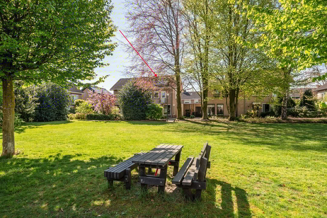 Foto 46 van Apollo 5