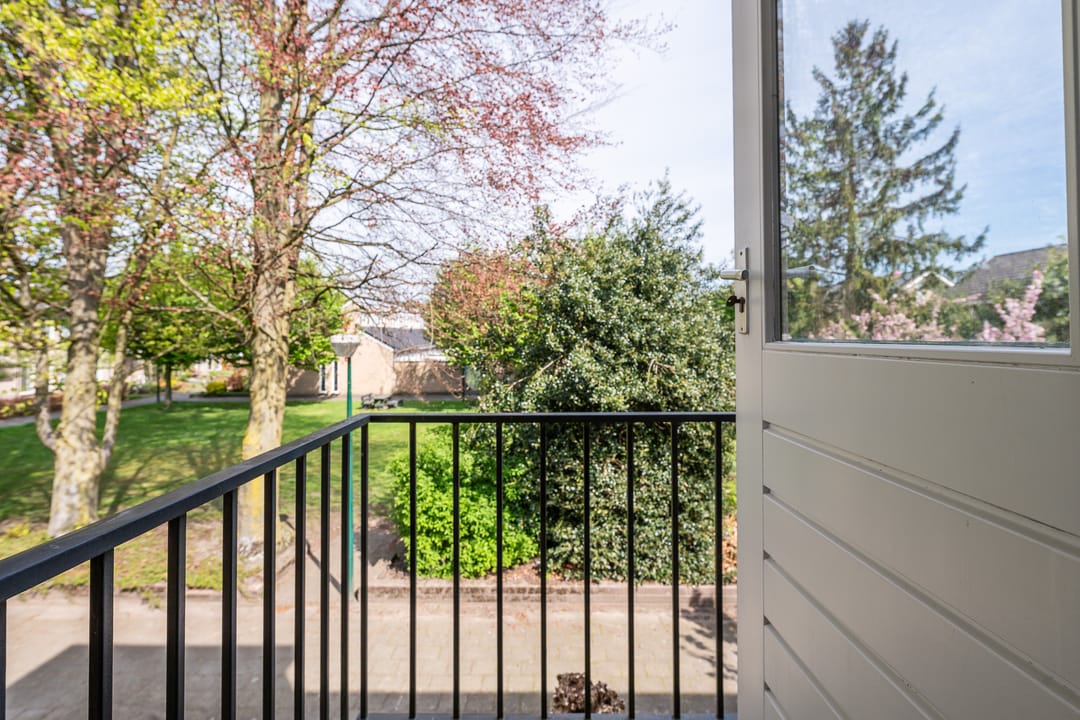 Foto 23 van Apollo 5