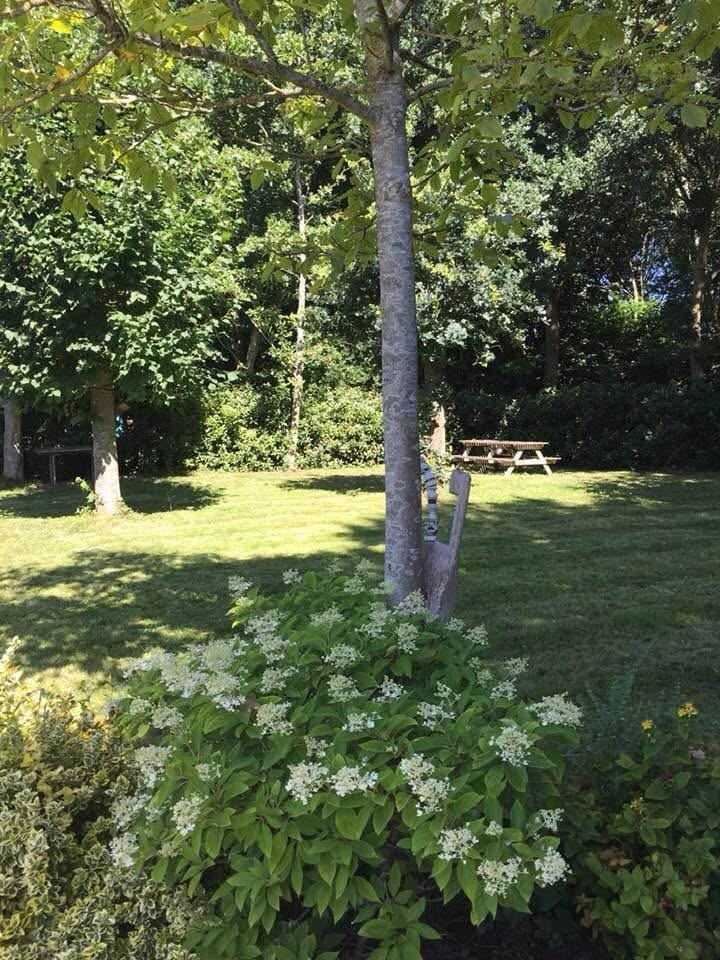 Foto 50 van Steigerdijk 12