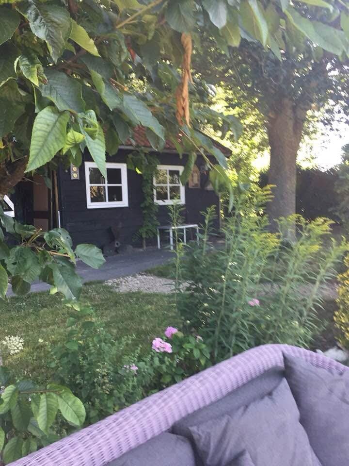 Foto 51 van Steigerdijk 12