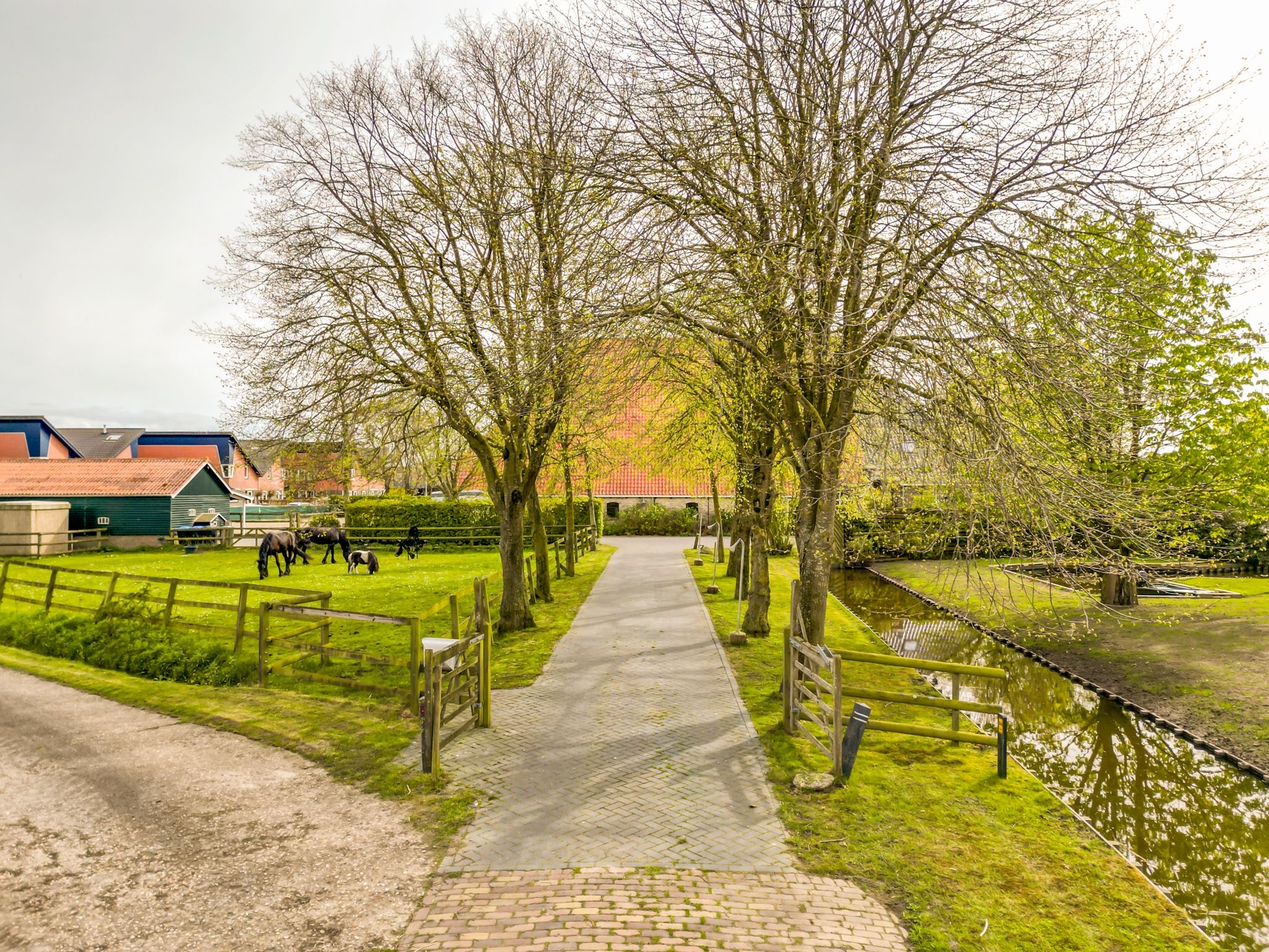 Foto 6 van Koetshúsleane 36