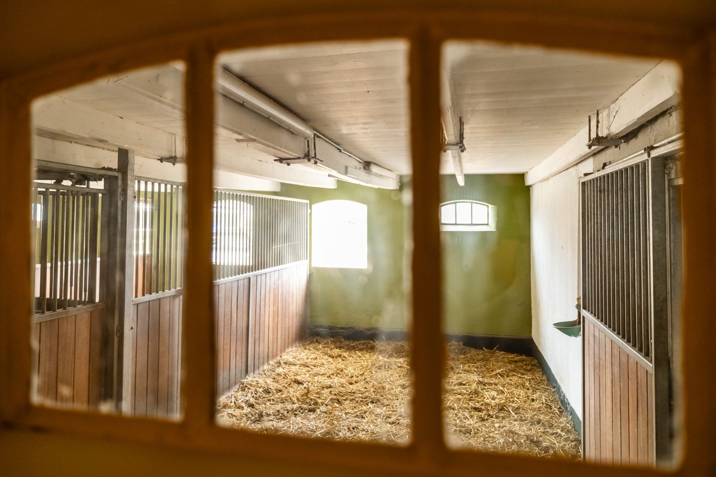 Foto 35 van Koetshúsleane 36